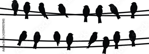 Fotografía Birds on wire flat vector illustration silhouette