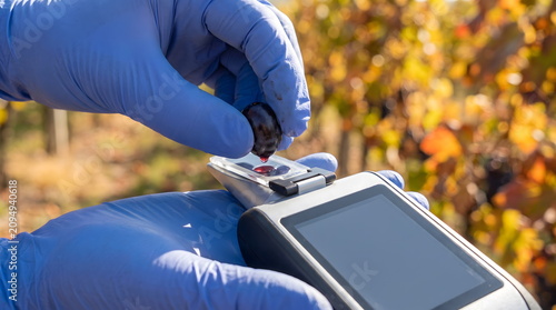 Winemaker testing grape sugar content with a digital refractometer