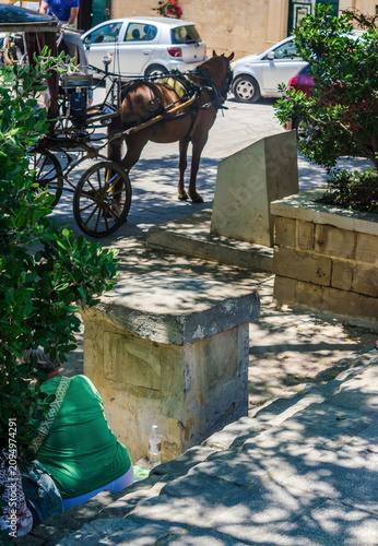 Konstfotografi Traditional horse drawn carriage karrozzin waiting on sunny street with tourist