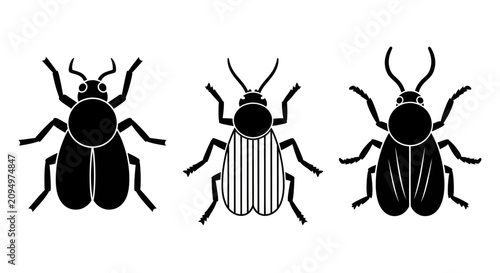 Foto Three beetles are shown in a close-up view on a plain surface