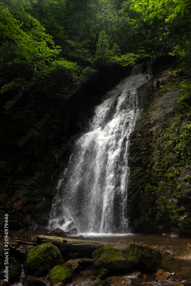 Obraz premium Scenic waterfall cascading down a steep rocky cliff surrounded by green forest trees