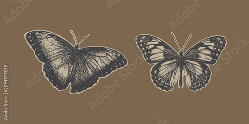 Butterfly for grunge punk Y2K collage design with halftone stipple effect. Vector illustration in stipple halftone brutalist retro design