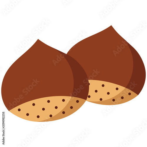 Cute Flat Chestnut Icon, Autumn Nut Vector Illustration for Chuseok Korean Thanksgiving Harvest