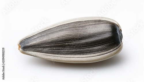 Close Up Of A Single Sunflower Seed Isolated On White Background