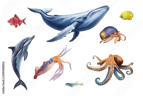 Принти на полотні Different sea animals swim together in various shapes and sizes in a colorful ar