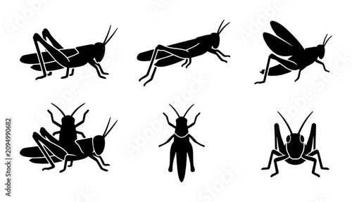 Bild auf Leinwand Grasshopper Silhouettes Vector Set: Insect Icons, Wildlife Graphics, Nature Elem