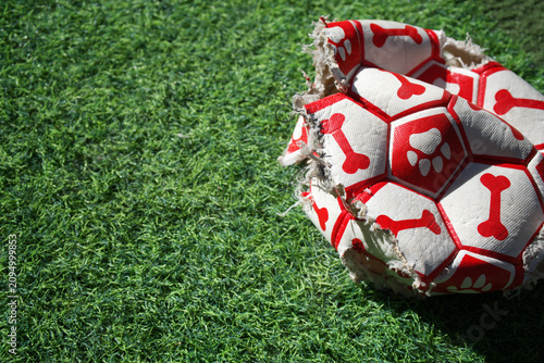 Foto Damaged, dirty fabric dog toy resembling a soccer ball on vibrant green artifici