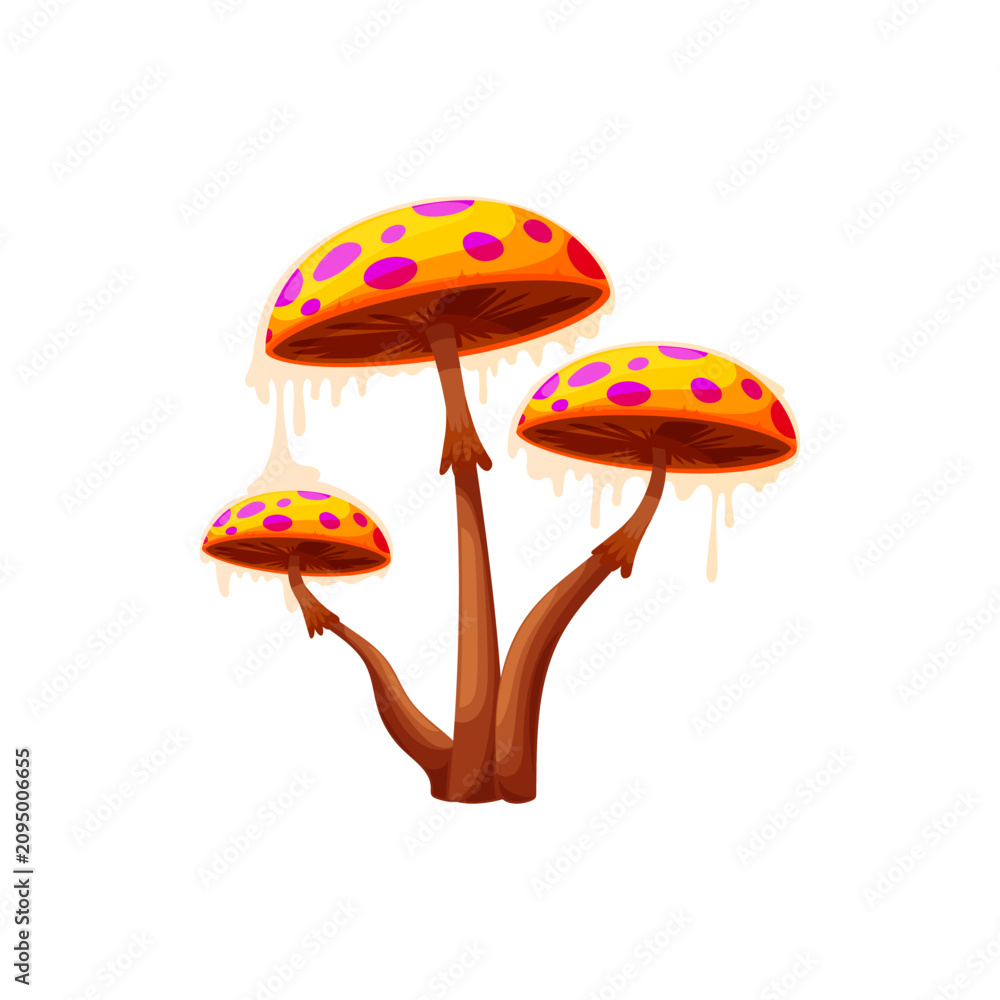 Obraz premium Mushroom fly agaric isolated inedible fungi hallucinogen, fly amanita. Vector Halloween symbol, potion ingredient poison food. Poison fungus with cap in dots. Amanita muscaria muscimol mushroom