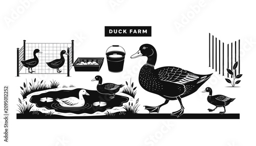 Tableau sur toile Very beautiful black and white realistic vector illustration of a duck farm featuring ducks and pond with a bold label reading DUCK FARM, engraved linework, isolated on white background