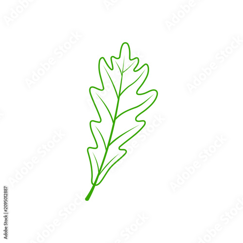 Vászonkép Oak or acorn leaf isolated outline plant