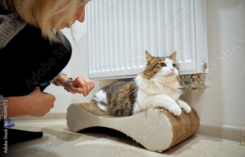 A woman gently grooms her relaxed longhaired cat as it lounges on a cardboard scratcher beside a home radiator, capturing a calm, caring pet-care moment and everyday indoor companionship.