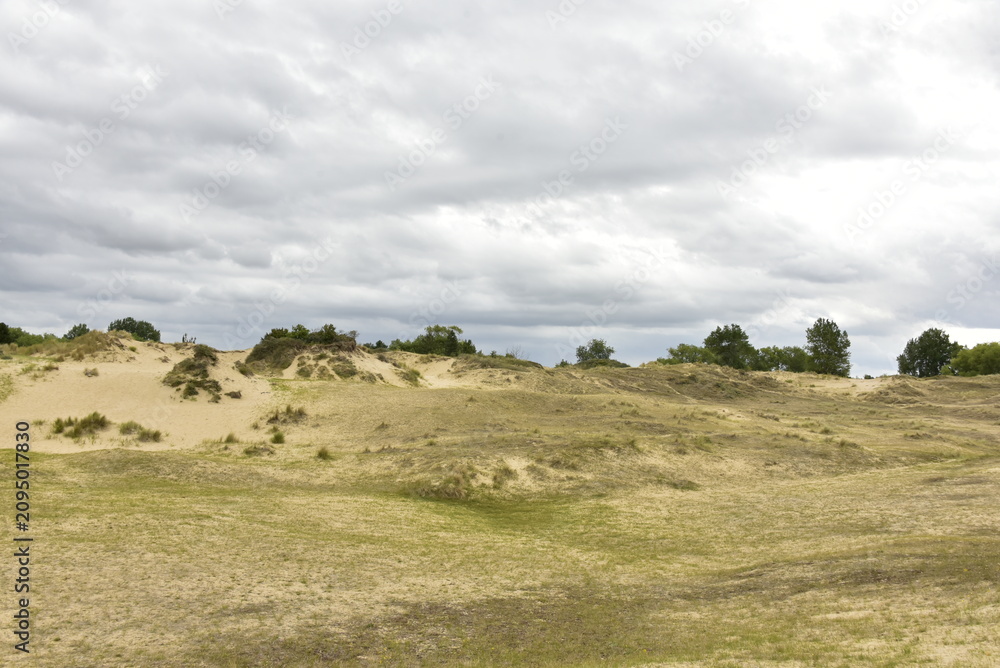 Fototapeta premium Les dunes de l'arrière pays sous un ciel gris à Oostduinkerke (Flandre Occidentale) 