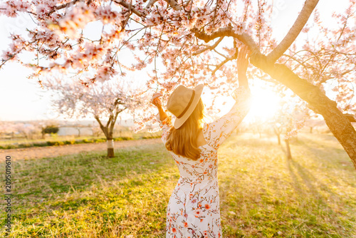 Canvastavla A young woman in a dress and hat walks through a garden surrounded by blossoming trees
