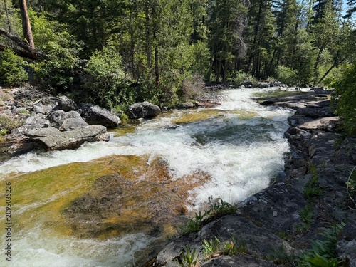 Fotografía Bear Creek cascades through the forest in the Bitterroot National Forest of west
