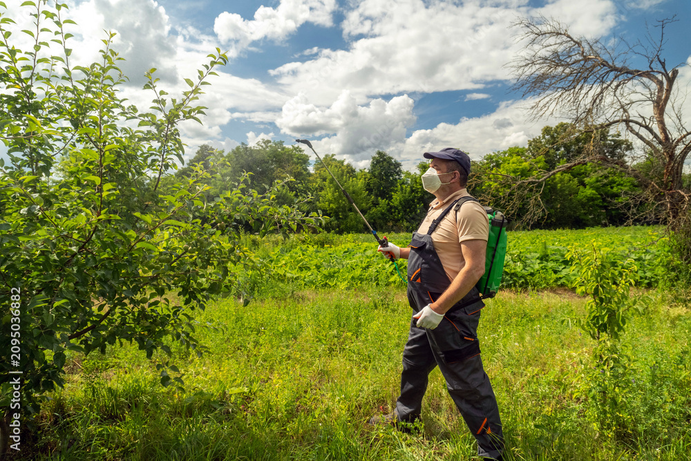 Fototapeta premium A person holds a sprayer while working in a field. The sun shines overhead with some clouds in the sky. Green plants grow around the area