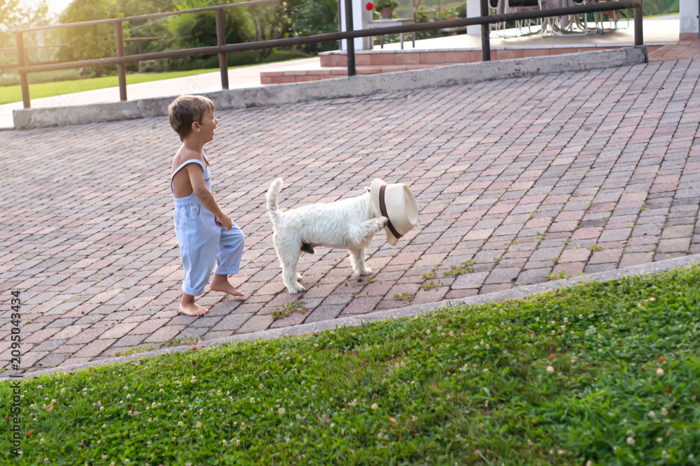 Fototapeta premium Full length of a joyful Caucasian toddler laughing at his cute West Highland White Terrier dog wearing a straw hat on a paved backyard terrace