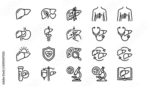 Cuadro en lienzo Liver vector icon set featuring anatomy hepatology healthcare digestive organ an