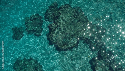 Clear Water Above Coral Reef in Tropical Location During Sunny Day