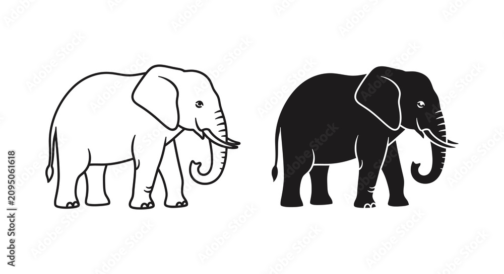 Fototapeta premium Elephant Line Art And Silhouette Against White Background