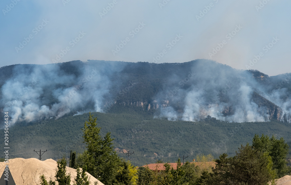 Fototapeta premium Distant view of wildfire spreading through forested mountain landscape.
