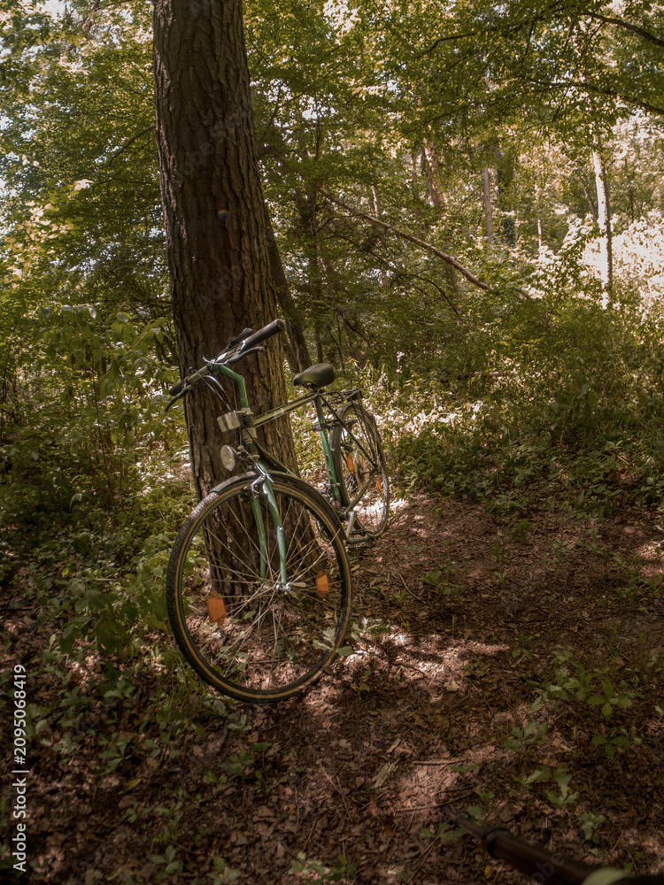 Fototapeta premium Bicicleta en el bosque