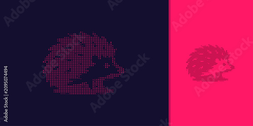 ASCII hedgehog Coding Art on Split Color Background