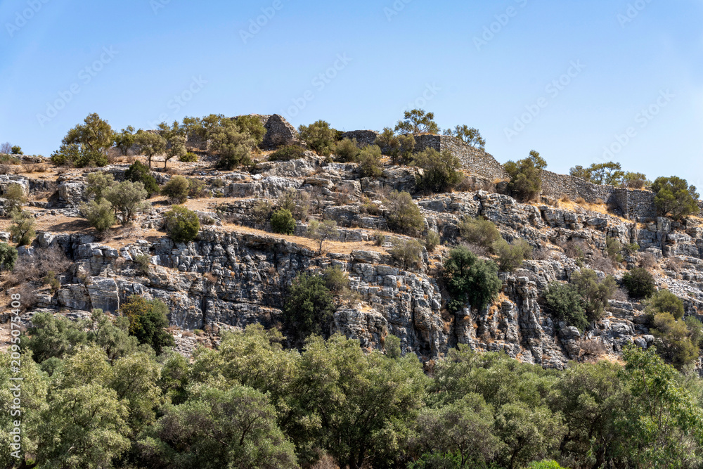 Fototapeta premium Ancient Roman ruins and stone aqueduct in Phaselis antique city, historical archaeological site remains with pine forest landscape and sunlight in Antalya, Turkey for travel and history concept