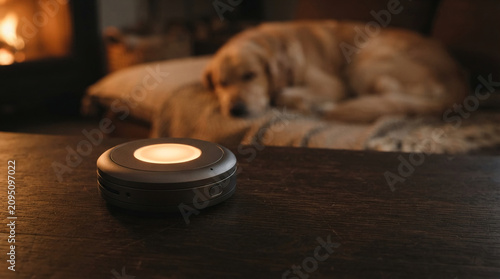Smart home device glows softly on wooden table near sleeping dog