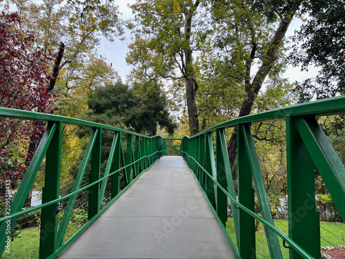 Photography Green footbridge through an autumn forest canopy