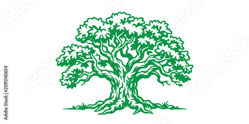 фотографія Green tree with sprawling branches on white background