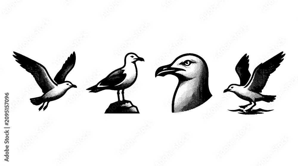 Obraz premium This collection features seagulls in dynamic poses rendered in a distinctive halftone style, capturing their essence of freedom and beauty over coastal scenes.