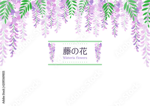 画面の上部から優美に垂れ下がる紫色の藤の花と鮮やかな新緑の葉に上品な文字ロゴを組み合わせた初夏の和風イベントや旅行の案内告知に最適なコピースペース付き背景フレームベクターイラスト素材