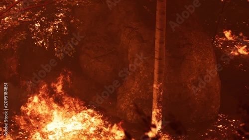 A fire burns intensely in a forest, engulfing trees and brush in flames. The scene shows smoke rising and glowing embers flying as the blaze continues to grow, creating a dangerous situation.