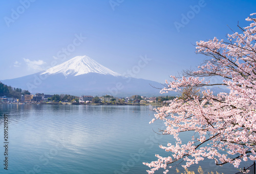富士山・河口湖 満開の桜
