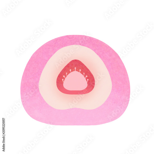 Japanese mochi dessert sprinkled with strawberry, filled with cream and strawberry