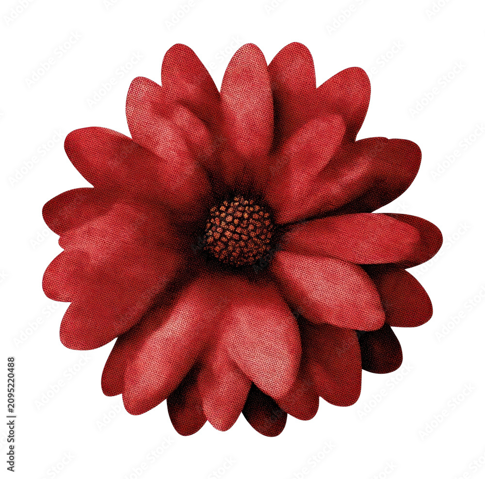 Obraz premium PNG Vibrant red flower illustration