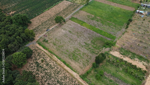 Rom Sabai Durian and Avocado Orchard, Chaiyaphum, Thailand