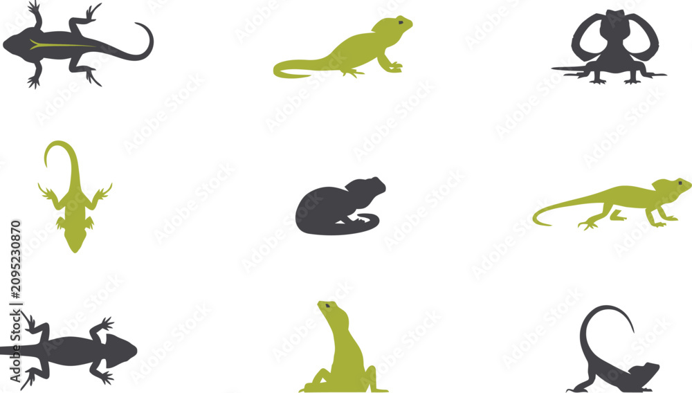 Obraz premium Minimalist flat vector set of lizard silhouettes and icons in green and grey isolated on a white background design