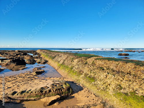Concrete sea wall at Susan Gilmore Beach Newcastle New South Wales Australia. Taken at low tide with green algae exposed