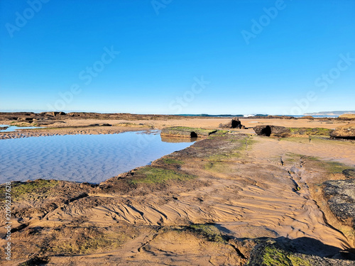 A rock pool at low tide on the rock platform at Susan Gilmore Beach Newcastle New South Wales Australia.