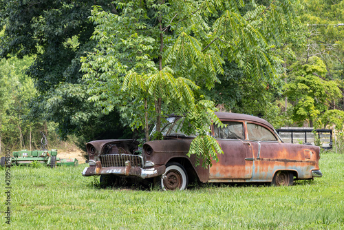 Photo of a Tree Growing from the Engine area of an Old Rusty Automobile