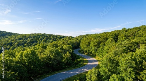 Winding Forest Road Aerial View for Adventure Travel Website Banner and Hero Header Background with Copy Space for Eco-Tourism