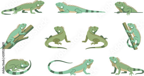 Educational chart of green iguana behaviors and postures with descriptive labels for scientific illustration use