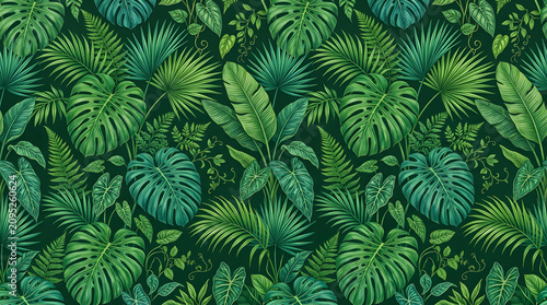 Lush tropical green leaves pattern with monstera and palm fronds