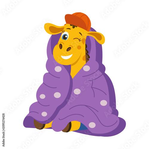 Sleeping Blanket