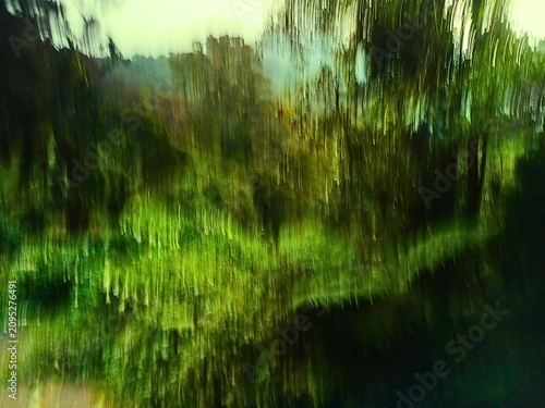 Obraz na plátně intentional camera movement photography of forest landscape