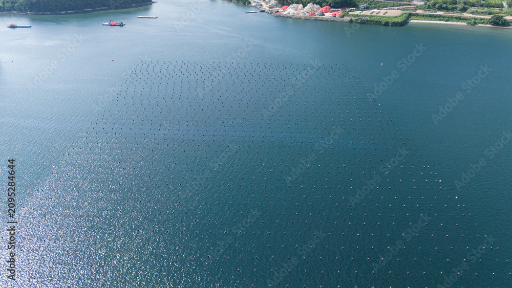 Naklejka premium Rows of floating buoys at a marine aquaculture farm for seafood cultivation in coastal waters. Aerial view of marine infrastructure