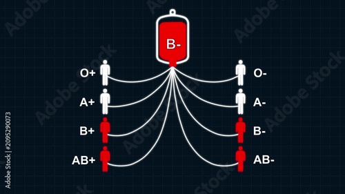 Animated B Negative Blood Donation Chart Compatible Recipient Blood Types. B− Blood Type Donation Compatibility Animation