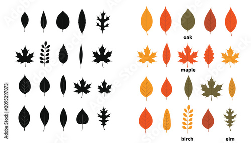 Autumn forest leaves set. Fall foliage icons. Seasonal design.