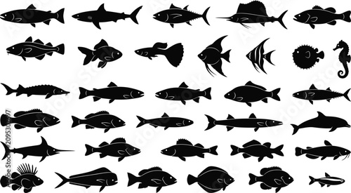 Photography Fish silhouettes, ocean creatures, sea animals, black icons, vector set